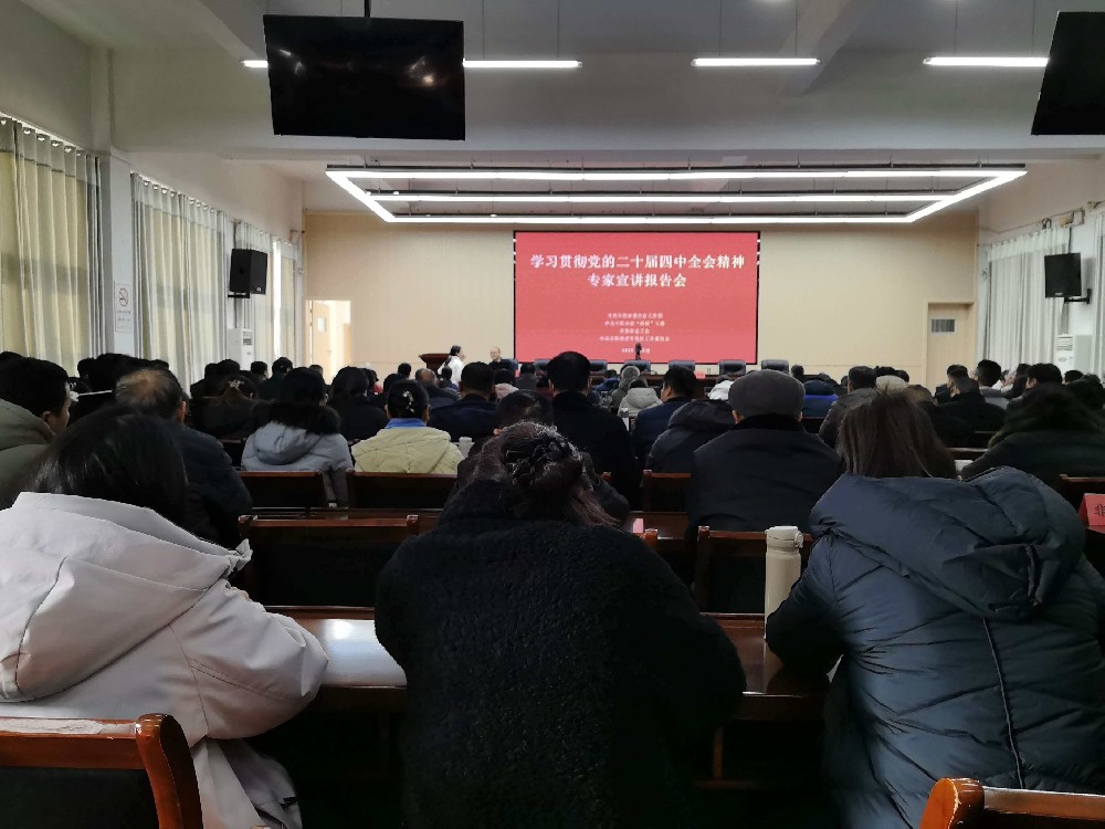 深学细悟全会精神 实干笃行赋能发展 ——阜阳土著网络科技有限公司组织党员参加全市新兴领域专题宣讲报告会